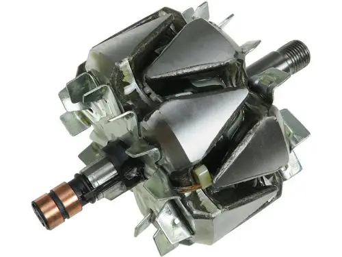 Rotor, alternator