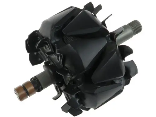 Rotor, alternator