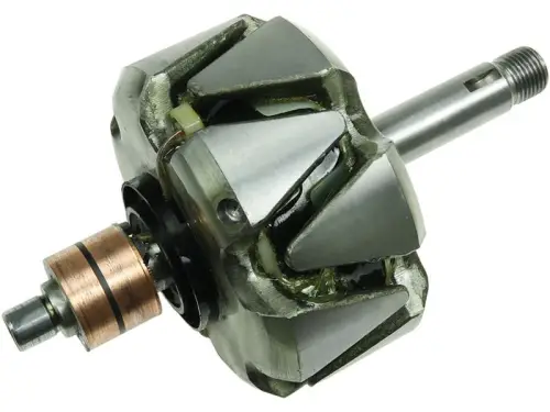 Rotor, alternator
